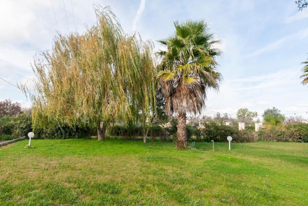 Villa Delle Stelle Con Piscina Leverano Buitenkant foto