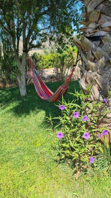 Villa Delle Stelle Con Piscina Leverano Buitenkant foto